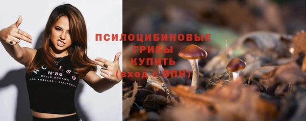 прущие грибы Алексеевка