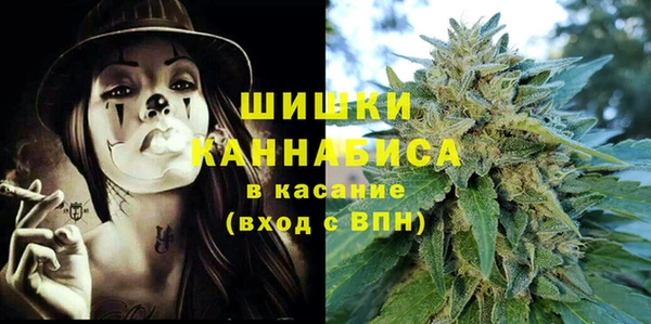 прущие грибы Алексеевка
